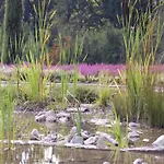 Near Lueneburg Heath Trails