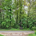 Near Lueneburg Heath Trails