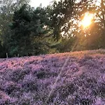 Near Lueneburg Heath Trails 施内沃丁根