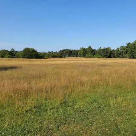 Near Lueneburg Heath Trails Appartement Schneverdingen