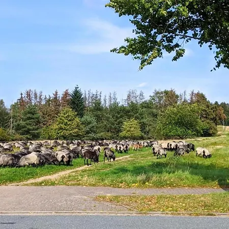 Near Lueneburg Heath Trails Appartement *