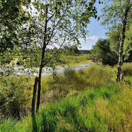Near Lueneburg Heath Trails Schneverdingen